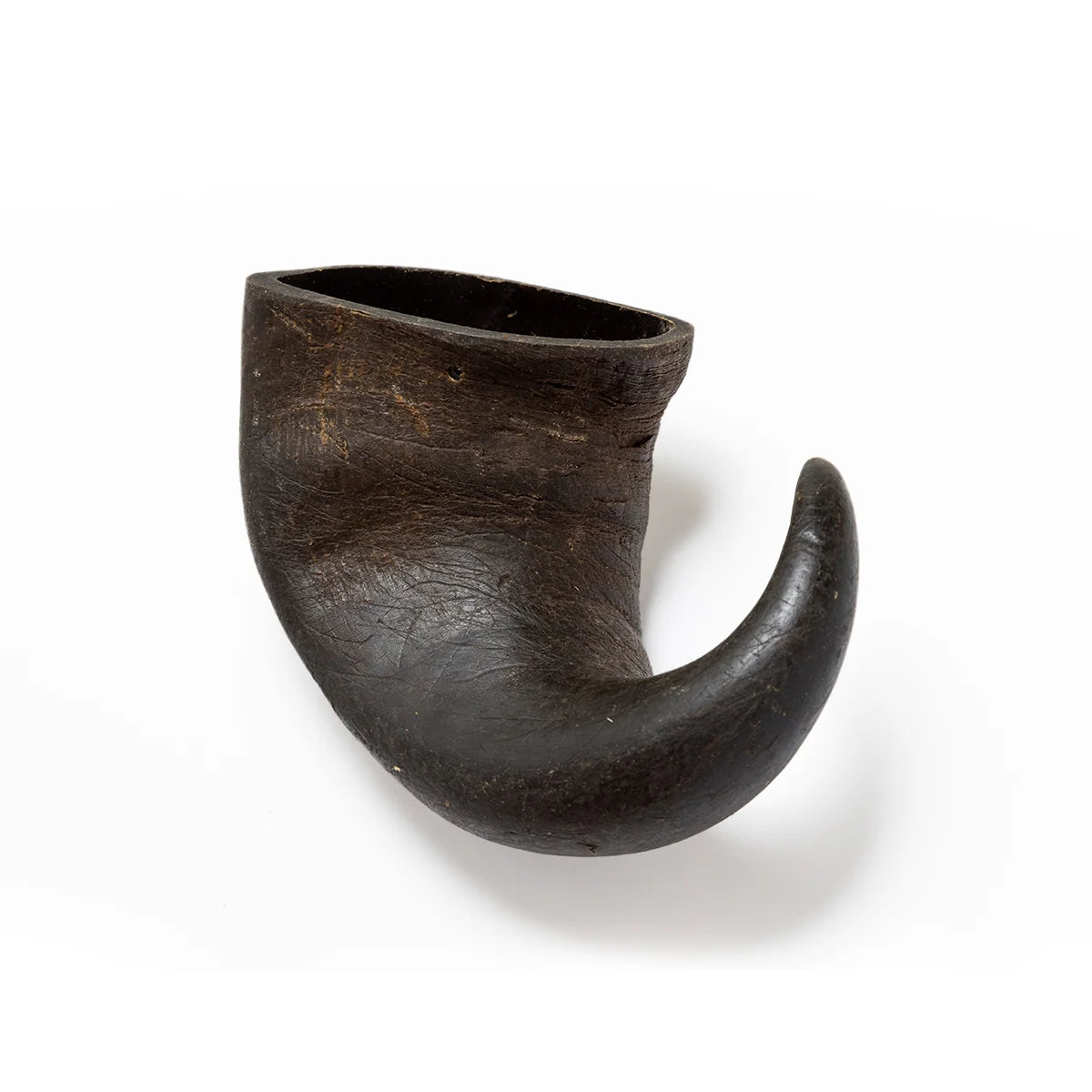 Buffalo Horn