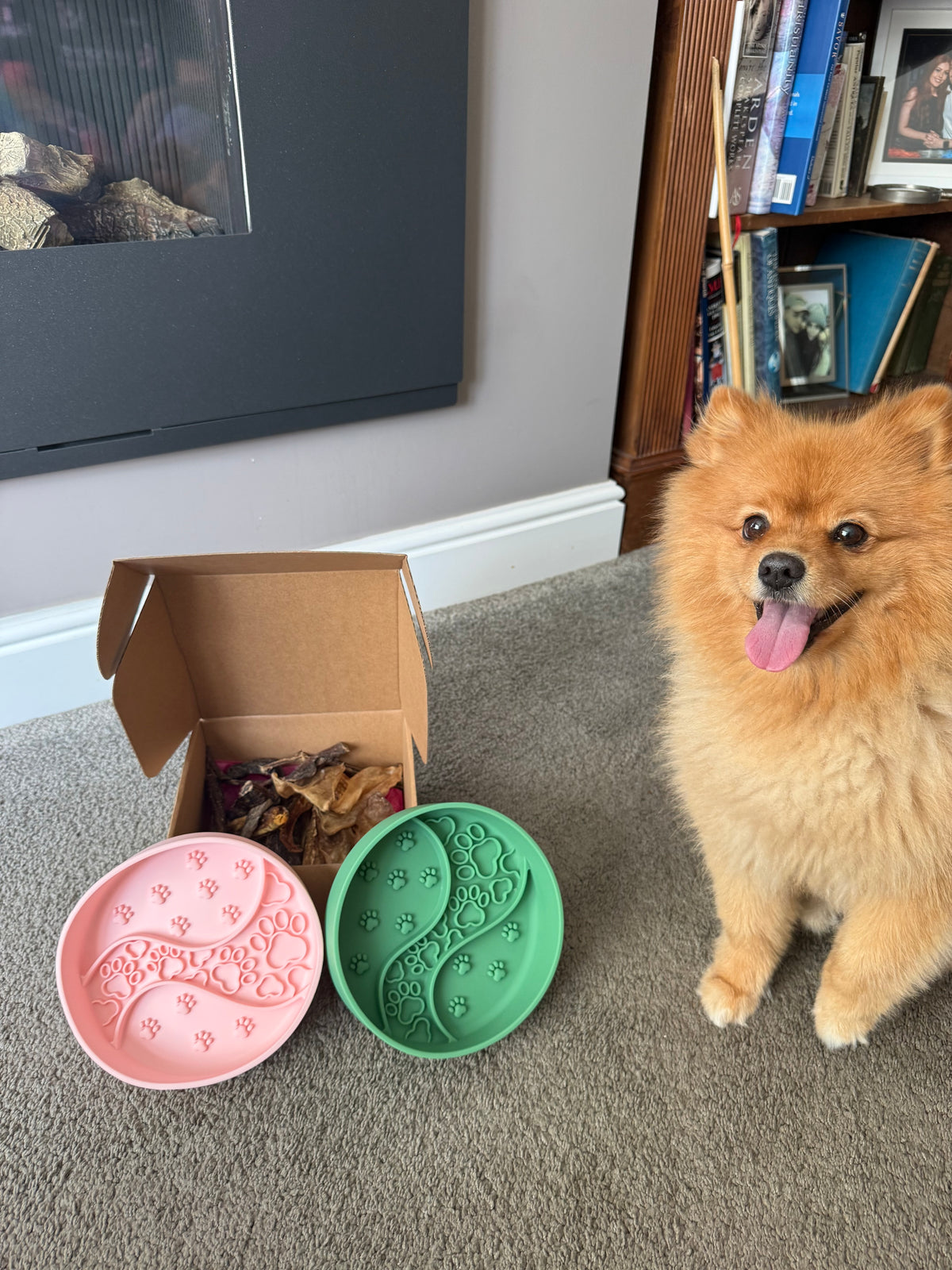 Build Your Own Enrichment Box