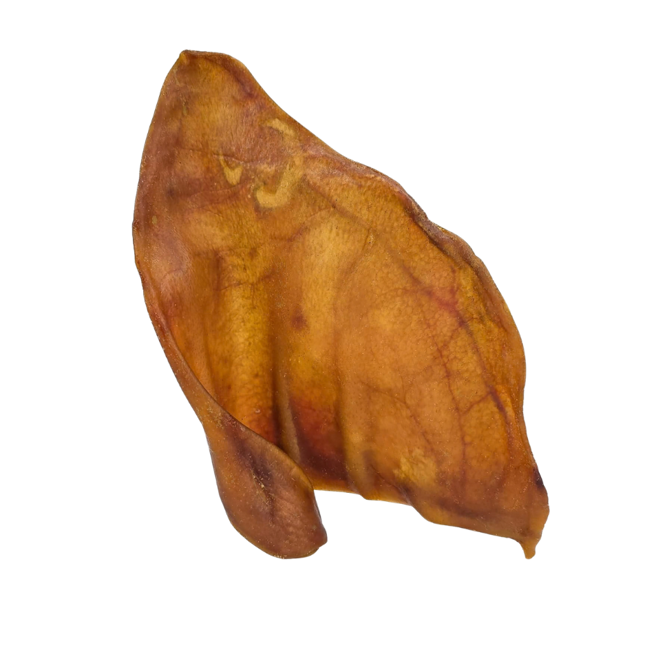 Pig Ear