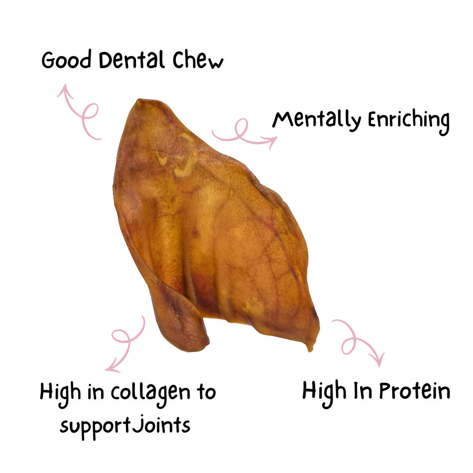 Pig Ear