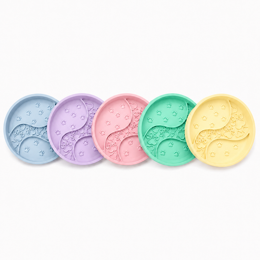 Rainbow Slow Bowl