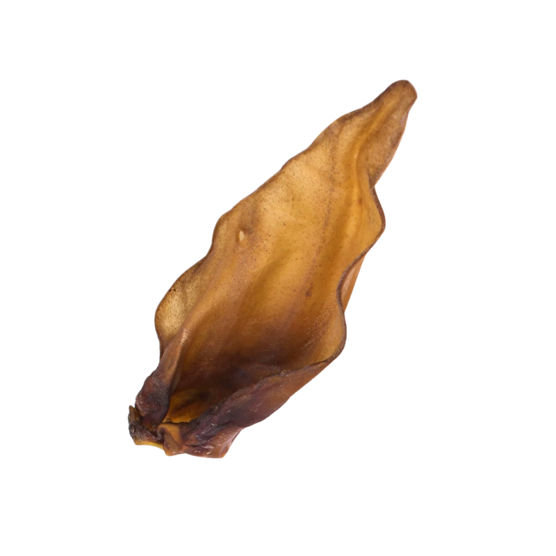 Jumbo Buffalo Ear