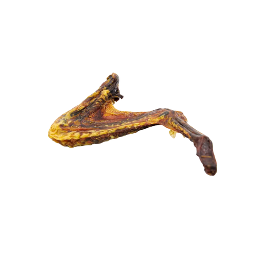 Duck Wings