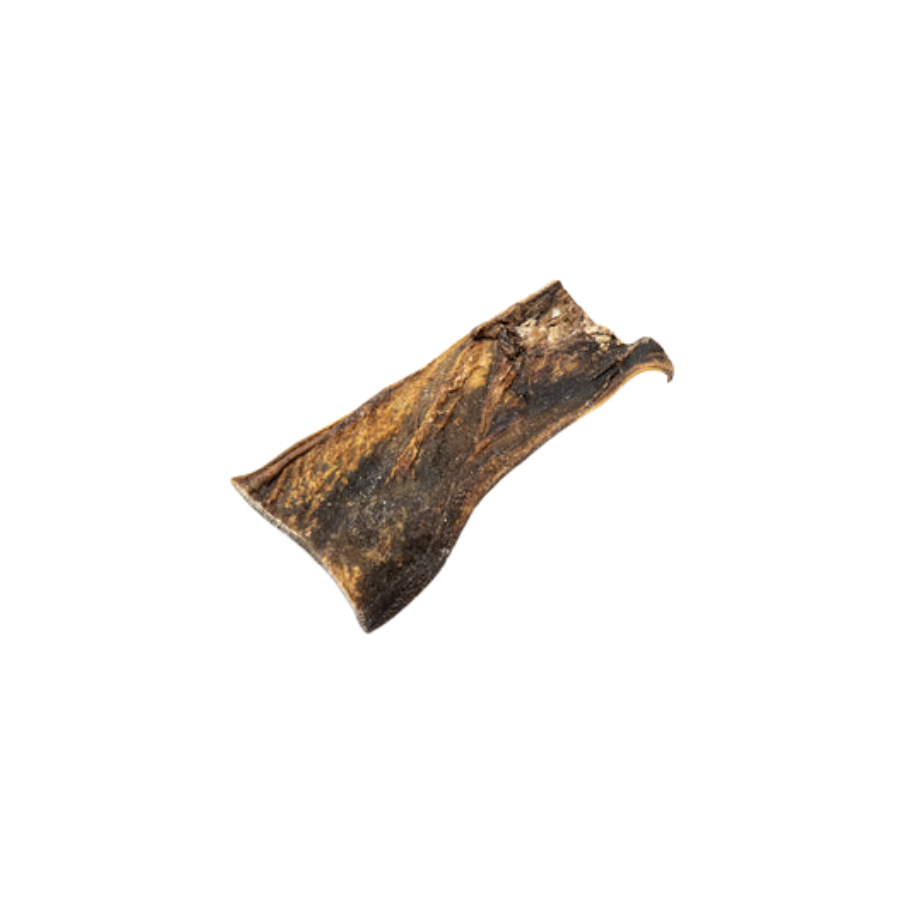 Camel Skin