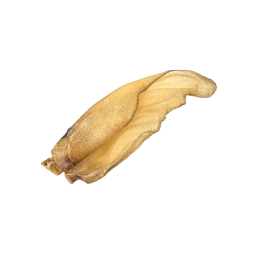 Medium Buffalo Ear