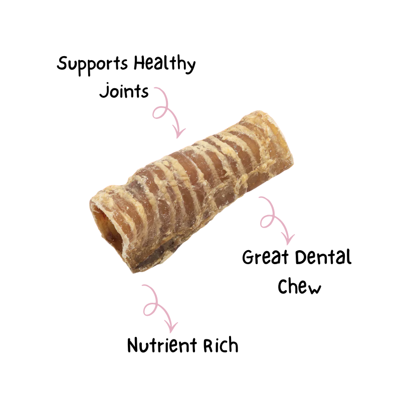 Beef Trachea