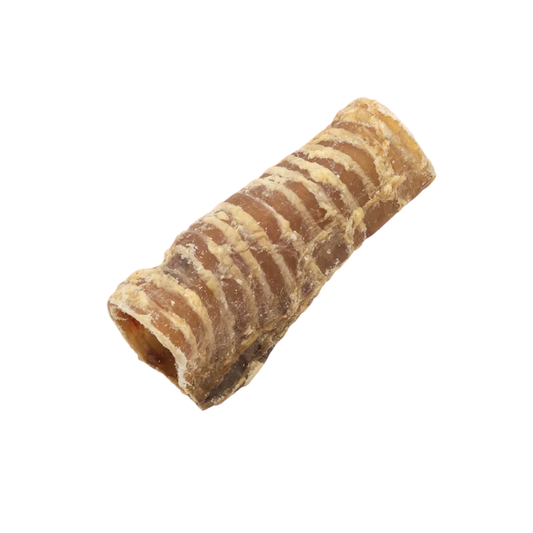 Beef Trachea
