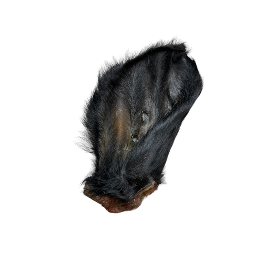 Hairy Cow Ear
