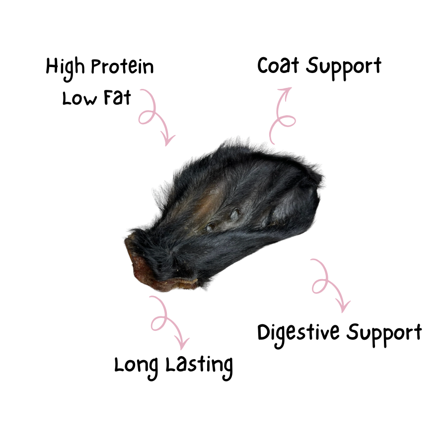 Hairy Cow Ear
