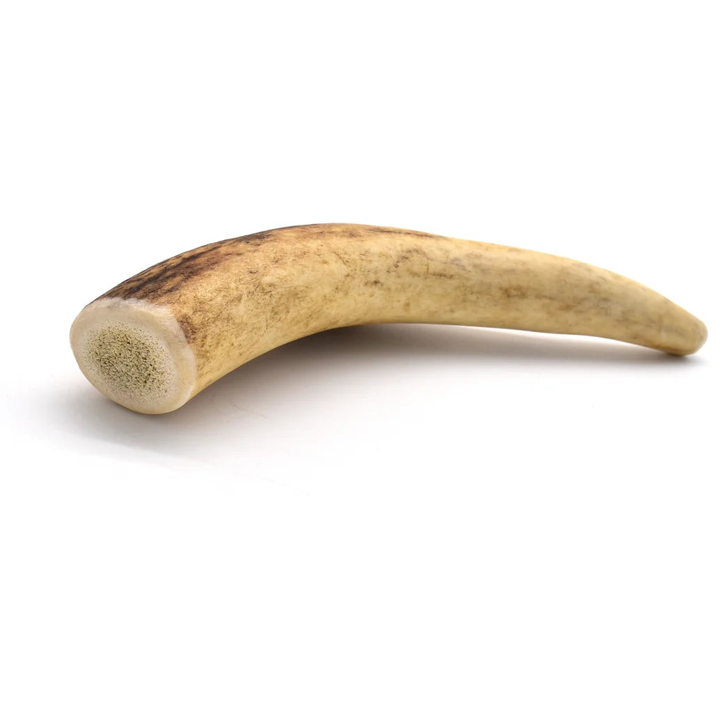 Antlers